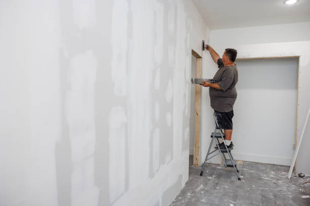  , USA Mold Removal Pros